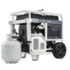 Pulsar 12000 W 240 V Gasoline Or Propane Portable Generator