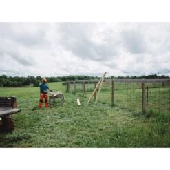 STIHL MS 194 C-E 12 In. 31.8 Cc Gas Chainsaw -Chainsaws Store 939f1127 7e51 42f8 8ea9 b725fafe6d8a