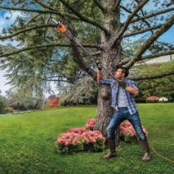 Worx 10 In. 120 V Electric Pole Saw -Chainsaws Store bdede0cb 56b9 4a46 9a51 c3aa95088328